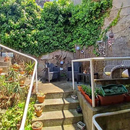 Regio & Garden